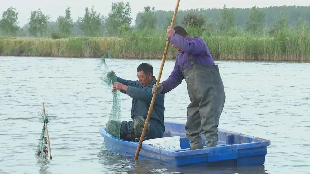 岠山富硒大米(富硒大米好吃吗)-硒宝网