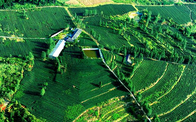 托县富硒大米(富硒大米多少钱一公斤)-硒宝网