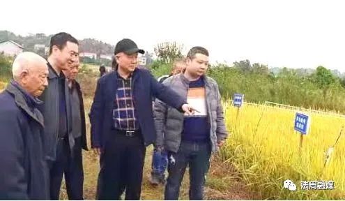 方县富硒大米(富硒大米基地)-硒宝网