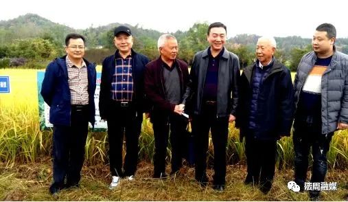 方县富硒大米(富硒大米基地)-硒宝网