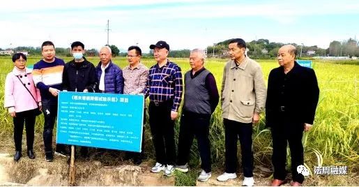 方县富硒大米(富硒大米基地)-硒宝网