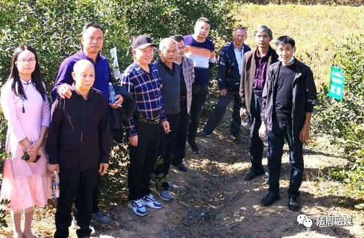 方县富硒大米(富硒大米基地)-硒宝网