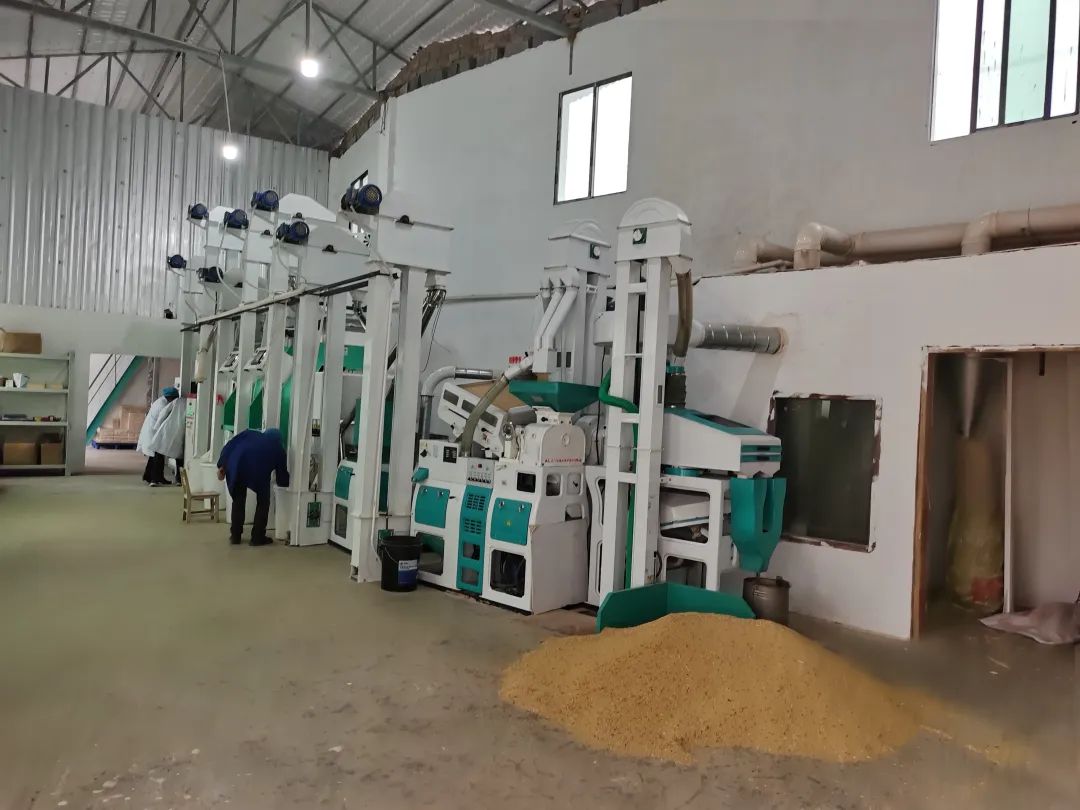 方县富硒大米(富硒大米市场前景)-硒宝网