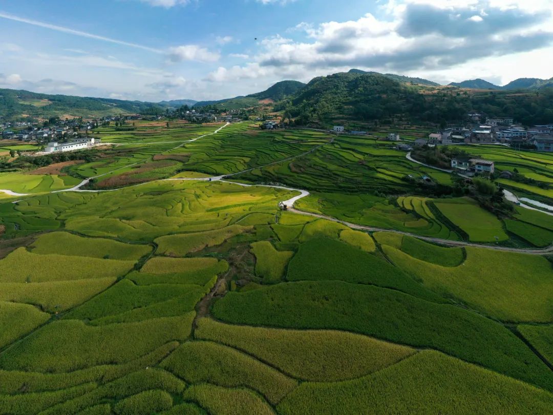方县富硒大米(富硒大米市场前景)-硒宝网