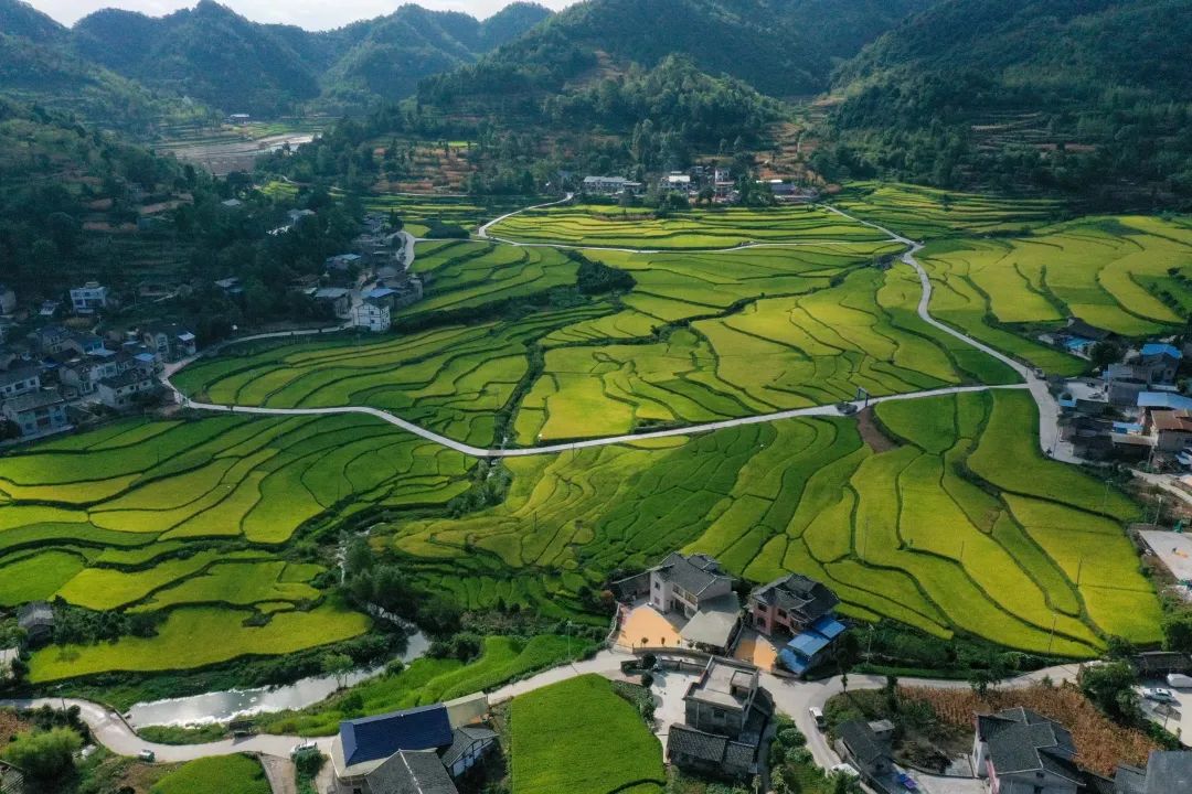 方县富硒大米(富硒大米市场前景)-硒宝网