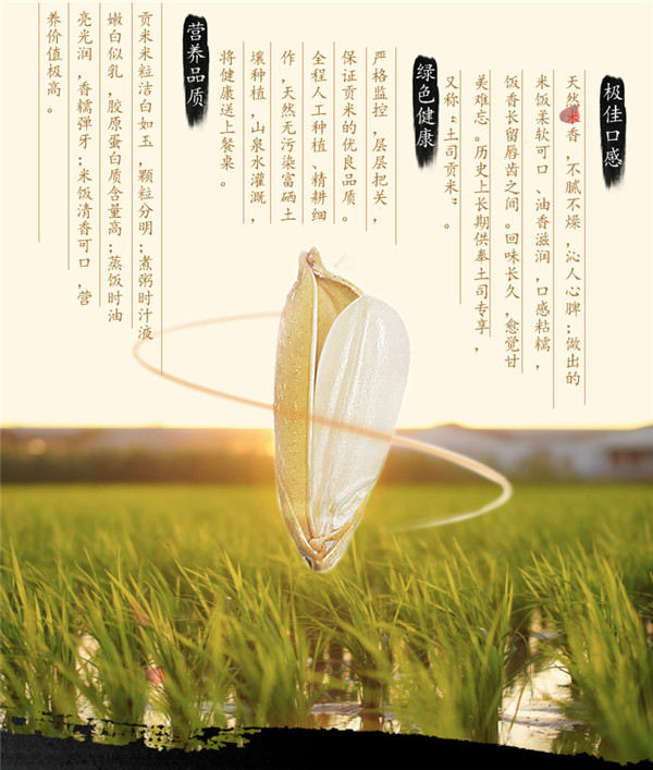 智全富硒大米（富硒大米口感如何）-硒宝网