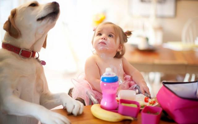 什么水果补钙效果最好（效果水果补钙好的有哪些）-硒宝网