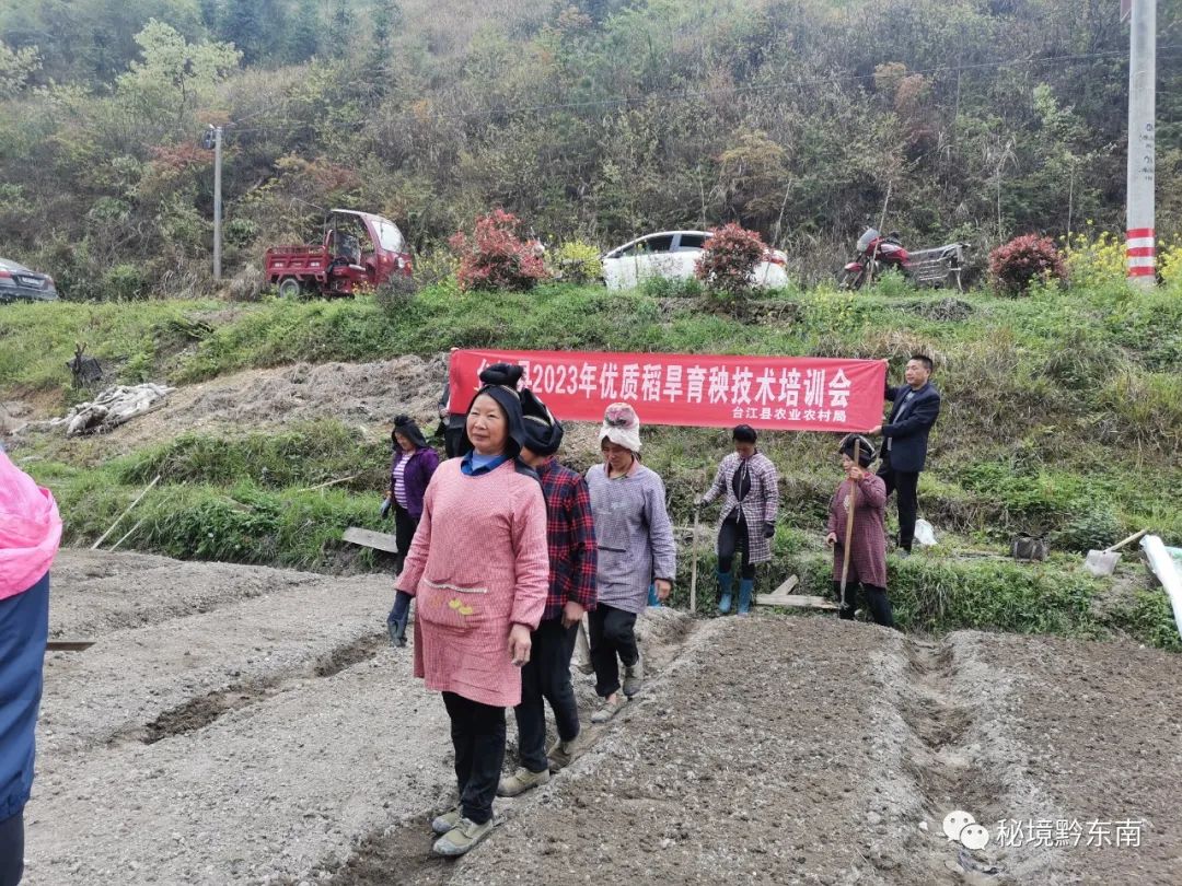 方县富硒大米（富硒优质大米）-硒宝网