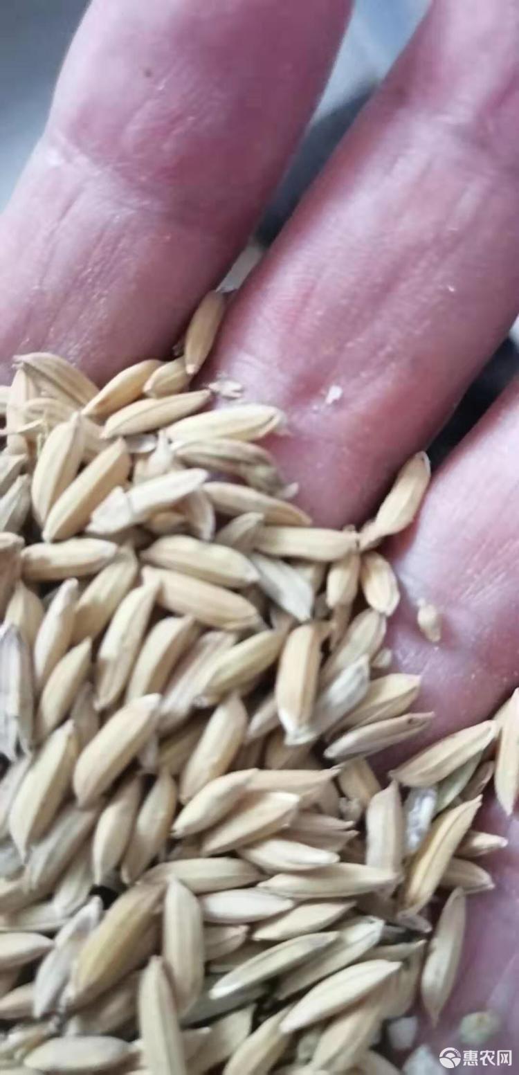 稻花富硒大米(大米稻花富硒含量)-硒宝网