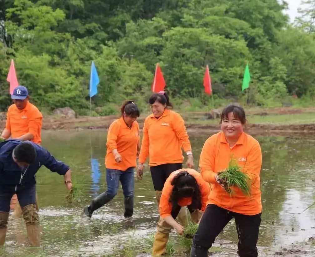 冉姐富硒大米(大米姐富硒米多少钱一斤)-硒宝网