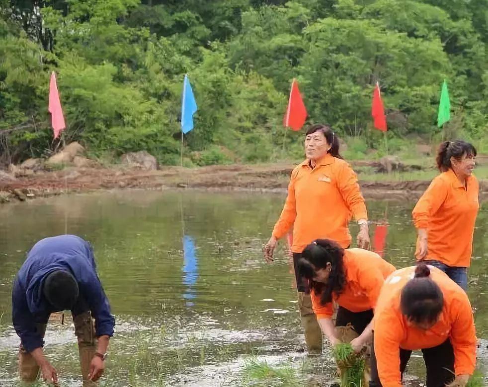 冉姐富硒大米(大米姐富硒米多少钱一斤)-硒宝网