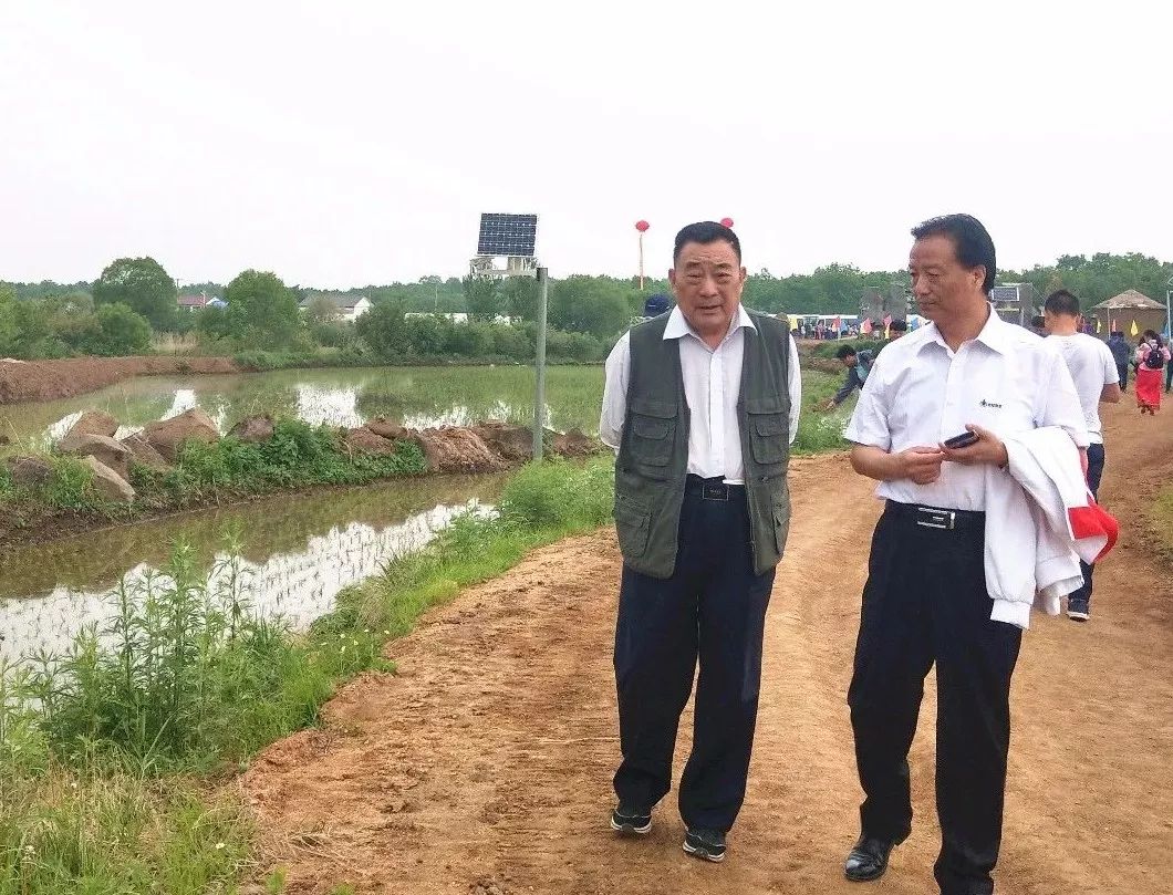 冉姐富硒大米(大米姐富硒米多少钱一斤)-硒宝网