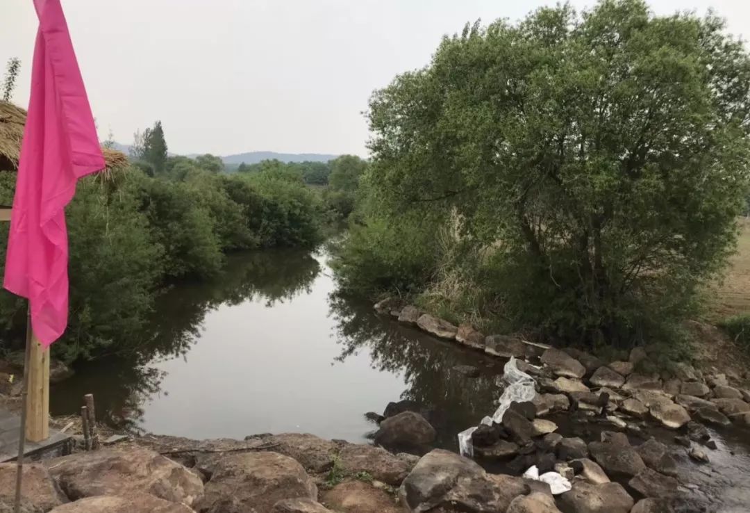 冉姐富硒大米(大米姐富硒米多少钱一斤)-硒宝网