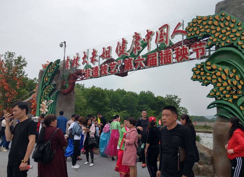 冉姐富硒大米(大米姐富硒米多少钱一斤)-硒宝网