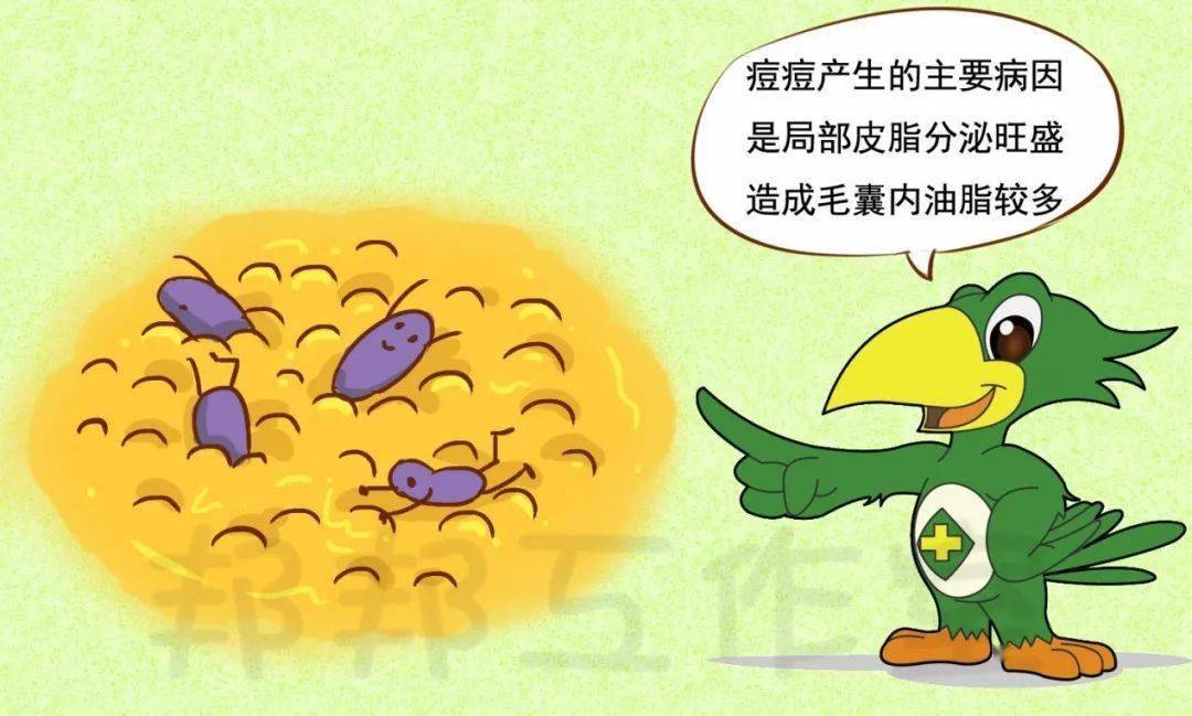 女生补锌会增加雌性激素吗(女生补雌性激素的影响)-硒宝网