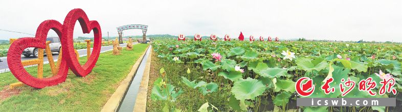 天禹富硒大米(最好的富硒大米多少钱一斤)-硒宝网
