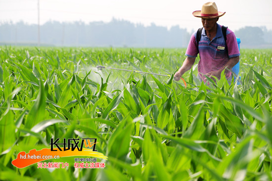 寰宝富硒大米(富硒大米多少钱一盒)-硒宝网