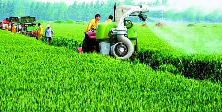 寰宝富硒大米(富硒大米多少钱一盒)-硒宝网