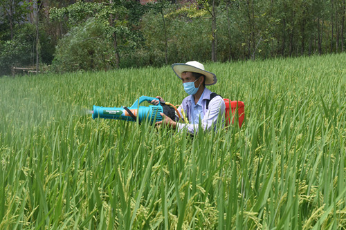 寰宝富硒大米(富硒大米多少钱一盒)-硒宝网