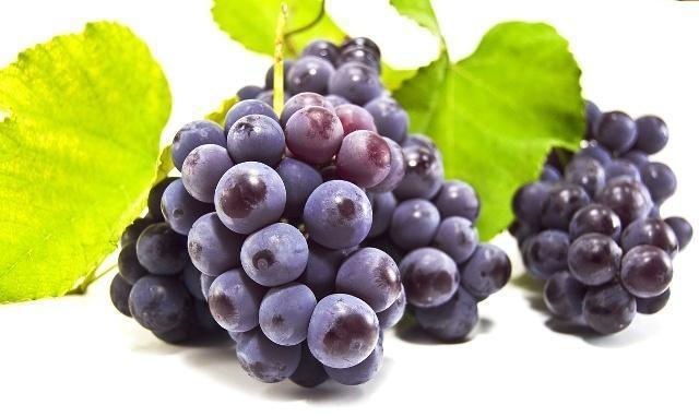 什么水果补铁补血（补血水果补铁效果好吗）-硒宝网