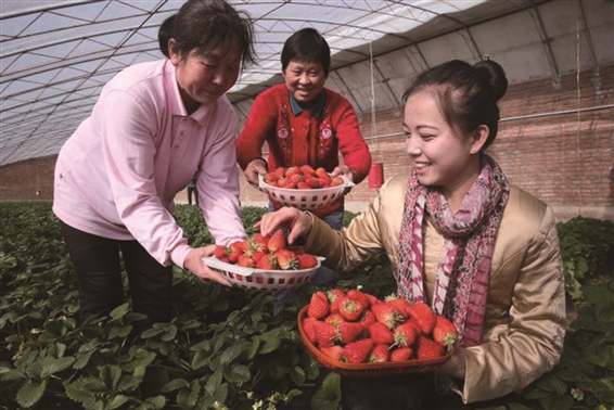 温汤富硒大米（富硒大米怎么煮）-硒宝网