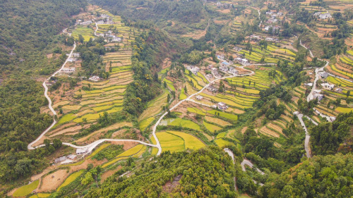 元态富硒大米(富硒大米口感如何)-硒宝网