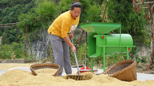 元态富硒大米(富硒大米口感如何)-硒宝网