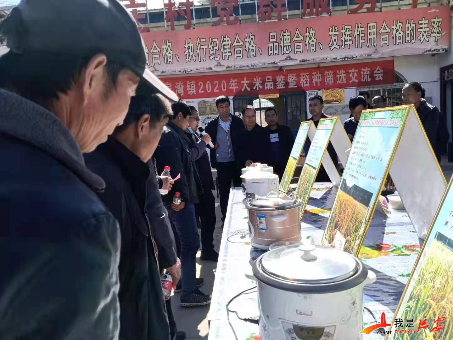 大湾富硒大米（富硒大米好在哪）-硒宝网