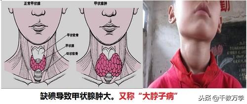 碘元素的相对原子质量(元素碘的相对原子质量)-硒宝网