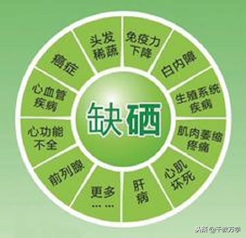 碘元素的相对原子质量(元素碘的相对原子质量)-硒宝网