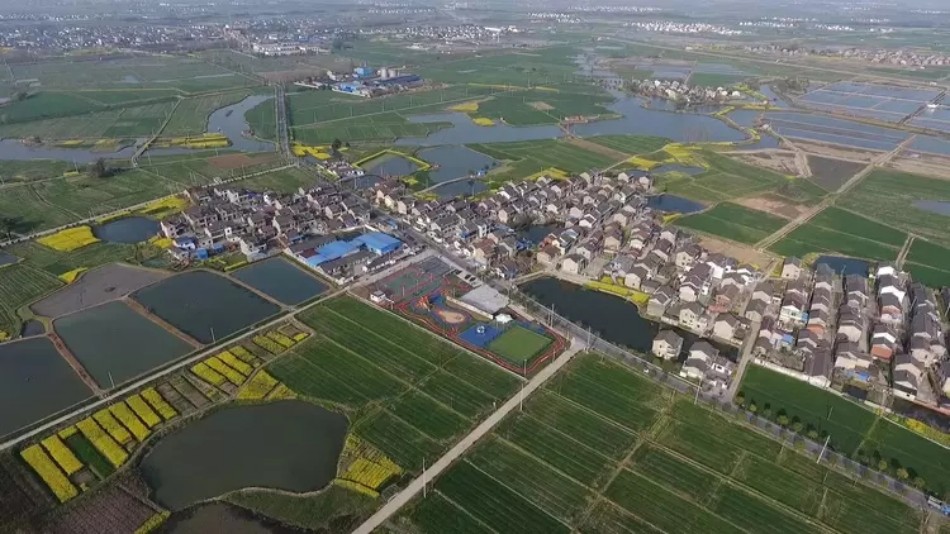 茅页富硒大米(富硒大米图片)-硒宝网