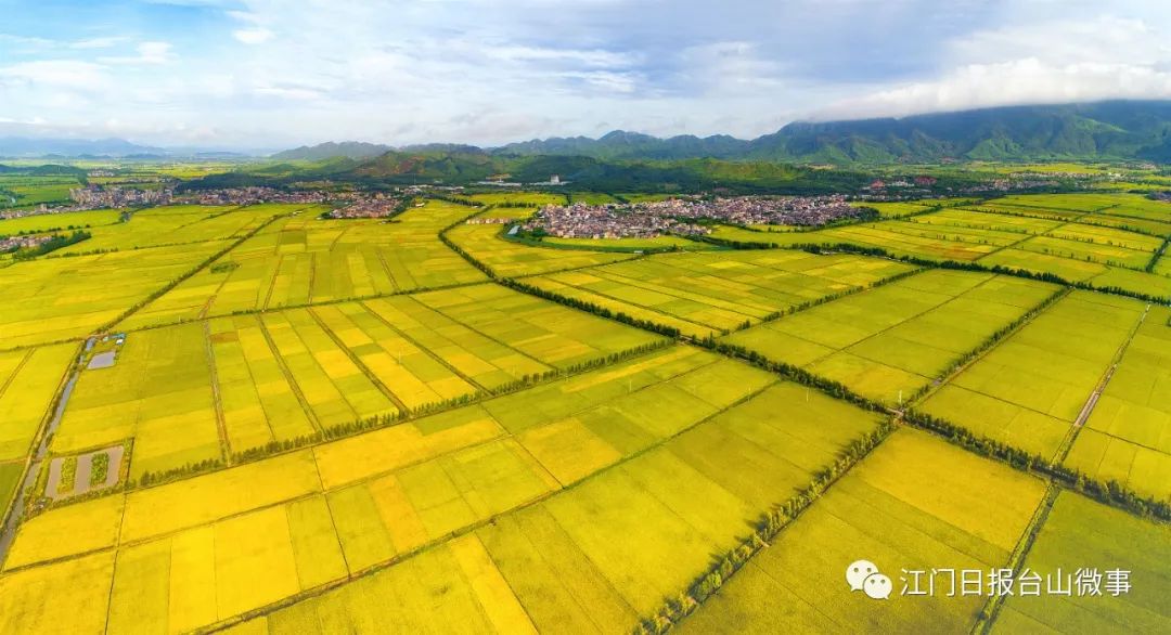 都斛富硒大米（富硒大米的硒指什么）-硒宝网