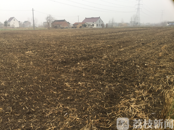 白蒲富硒大米(富硒大米功效)-硒宝网