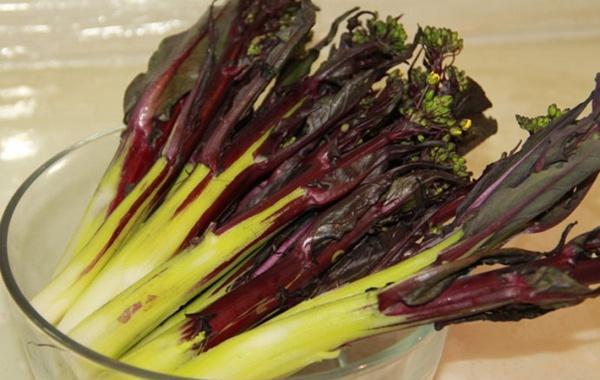 豆浆补钙还是牛奶补钙(牛奶豆浆哪个更补钙)-硒宝网