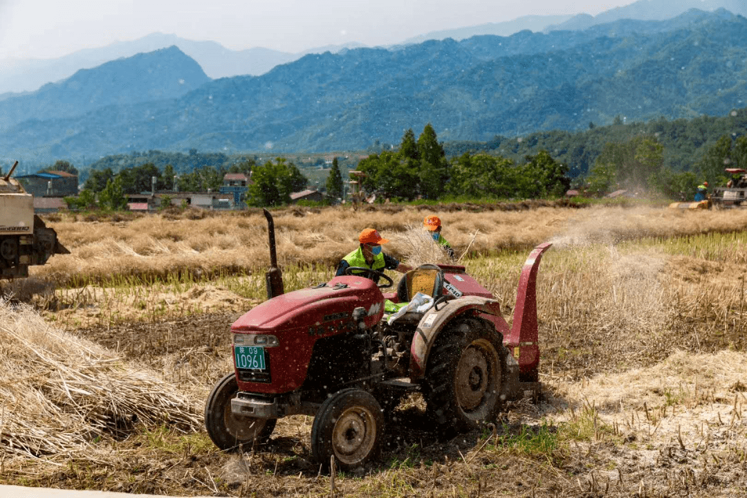 竹盐富硒大米（富硒竹盐的功效）-硒宝网