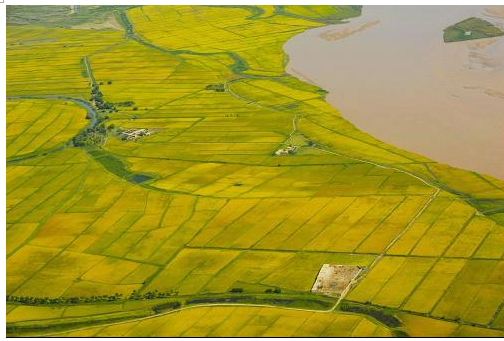 宏乐富硒大米（富硒大米口感如何）-硒宝网