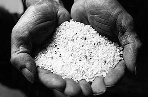 富硒大米可研（富硒大米有用吗）-硒宝网