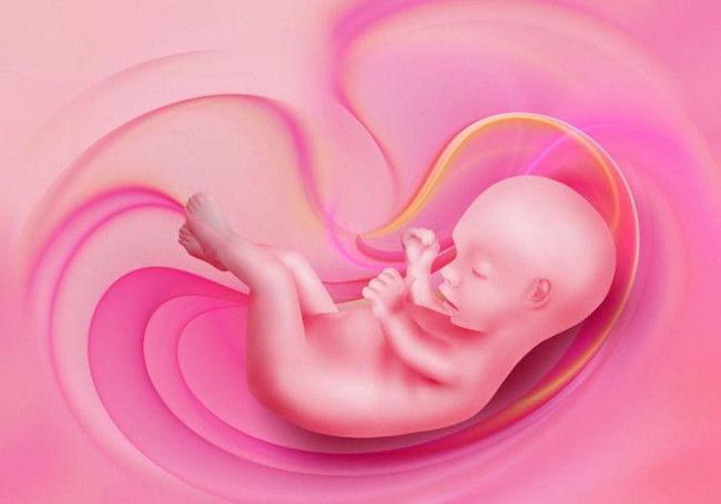 孕妇什么时候开始补铁（孕妇补铁干嘛）-硒宝网