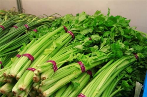 女人补铁有什么好处（女人补铁的重要性）-硒宝网