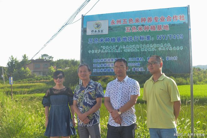 富硒大米白绿(大米绿白富硒含量多少)-硒宝网