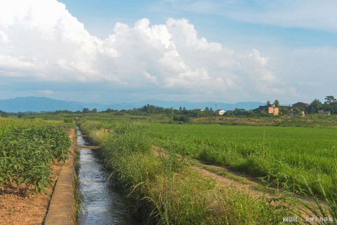 富硒大米白绿(大米绿白富硒含量多少)-硒宝网
