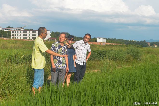 富硒大米白绿(大米绿白富硒含量多少)-硒宝网