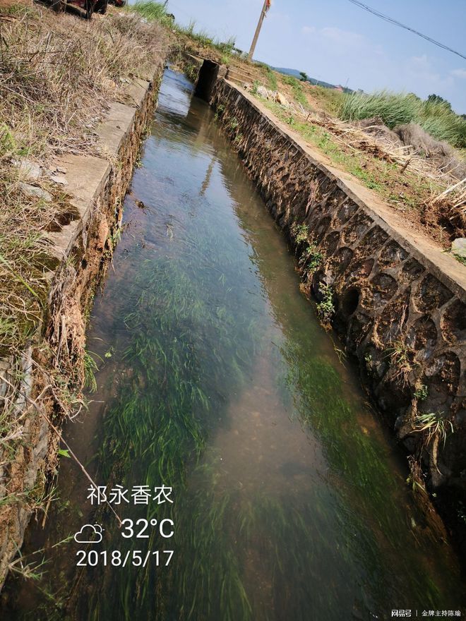 富硒大米白绿(大米绿白富硒含量多少)-硒宝网