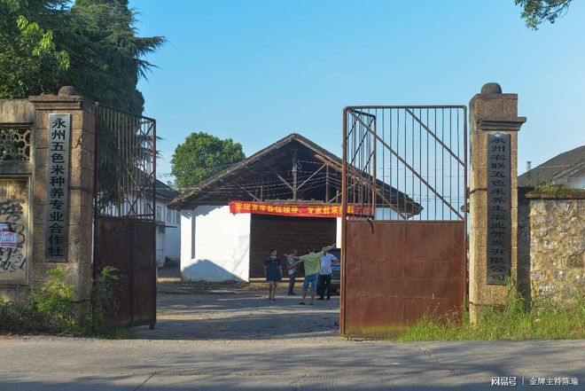 富硒大米白绿(大米绿白富硒含量多少)-硒宝网