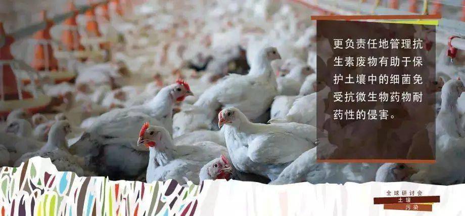 富硒低镉大米（大米镉低富硒怎么办）-硒宝网