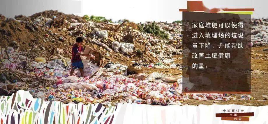 富硒低镉大米（大米镉低富硒怎么办）-硒宝网