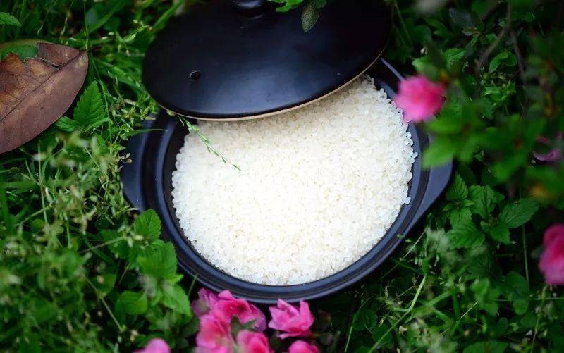 富硒大米白绿(富硒大米什么颜色)-硒宝网