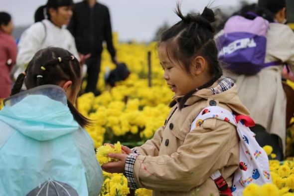 金畈富硒大米(富硒大米多少钱)-硒宝网