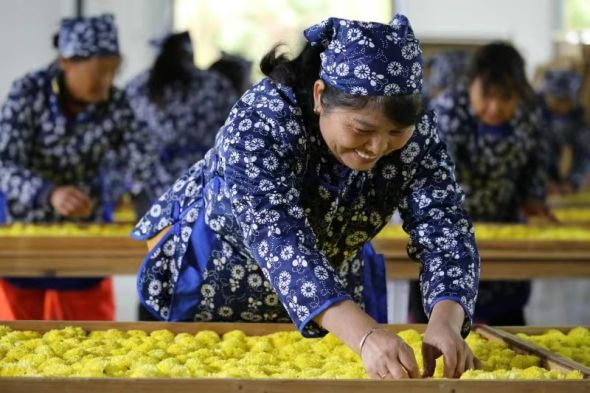 金畈富硒大米(富硒大米多少钱)-硒宝网