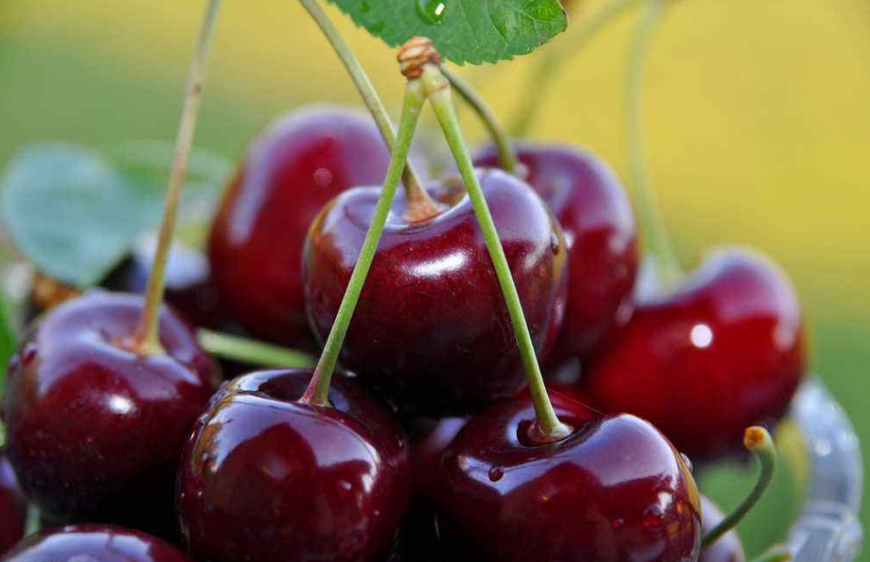 车厘子补铁吗(吃车厘子补铁有用吗)-硒宝网